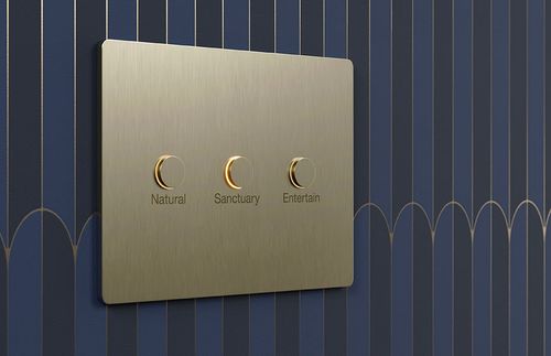 Unique Lutron Light Switch