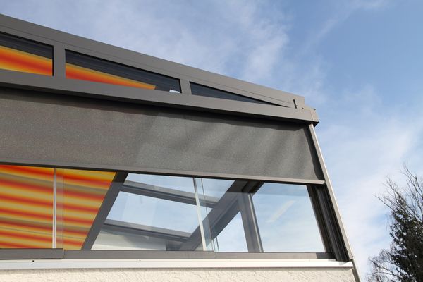 Motorized Outdoor Privacy Screen 