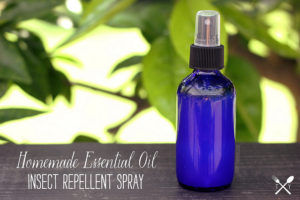 Essential Oil Insect Repellent Spray