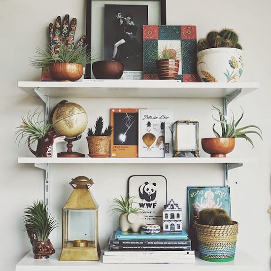 Travel Mementos Display