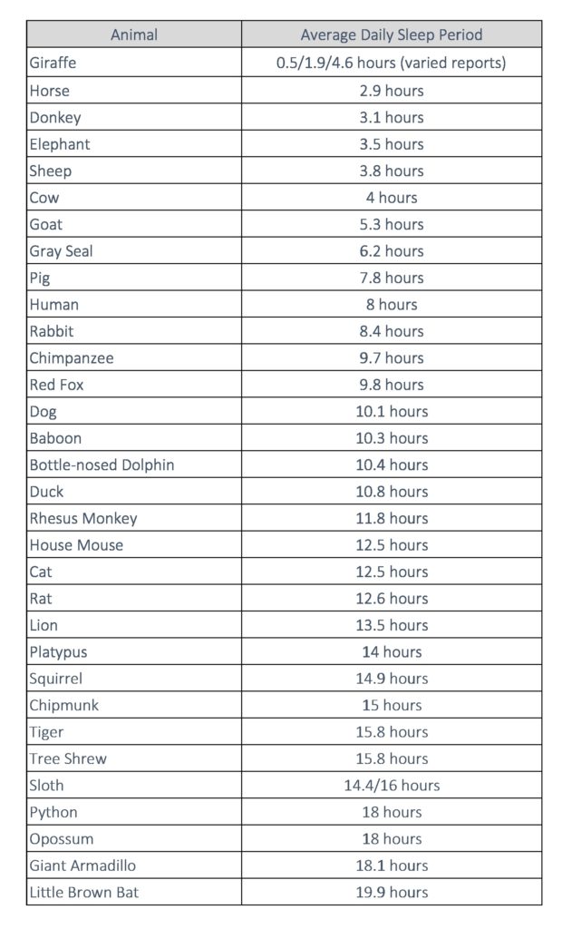 Sleep per Animal