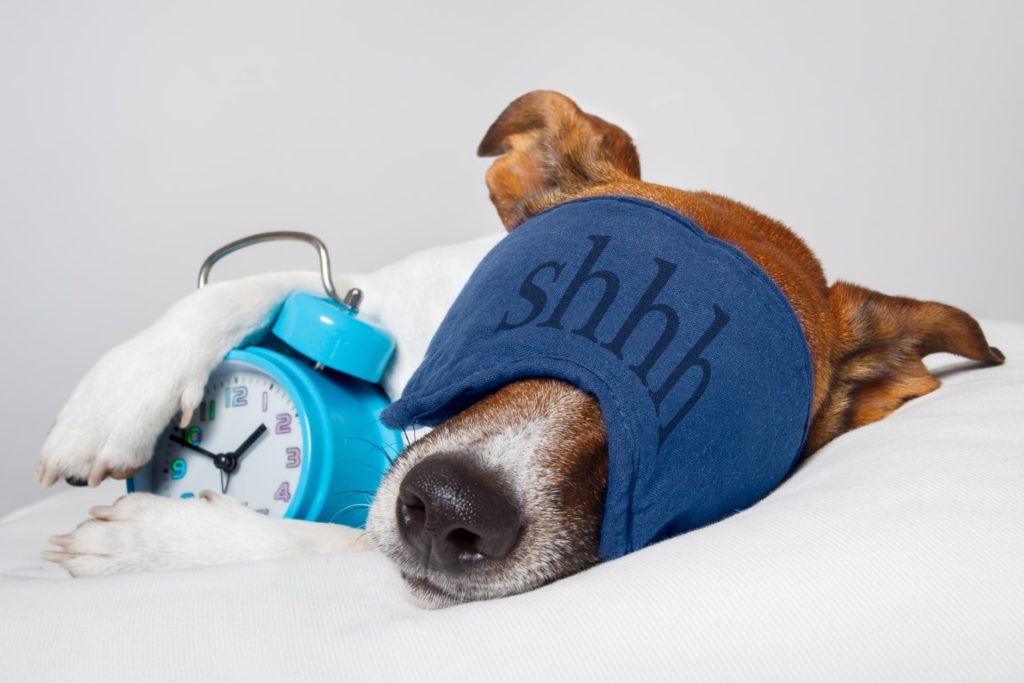 9 faits intéressants sur le sommeil