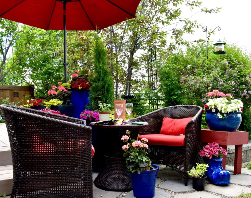 Greenery on the patio