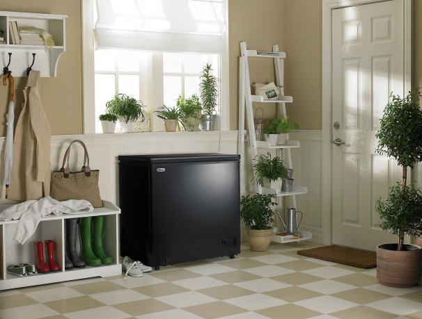 Chest Freezer by Danby