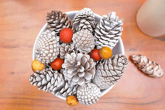 Simple Fall Pinecone Bowl Decor