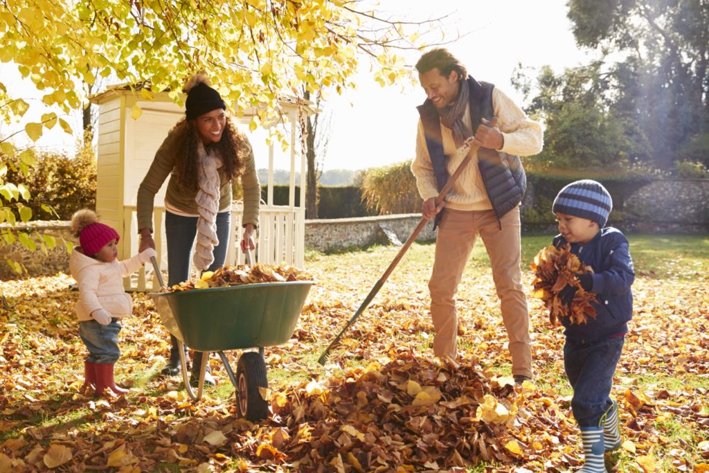 Garden Maintenance