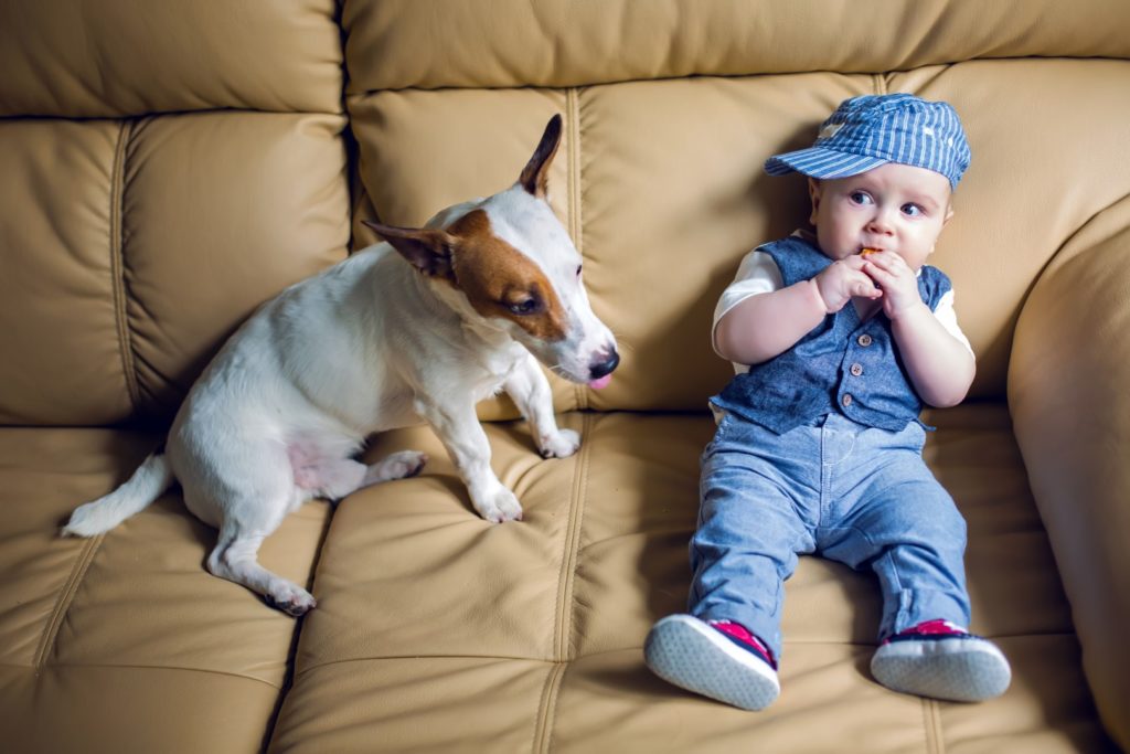 Kid and dog on leather sofa