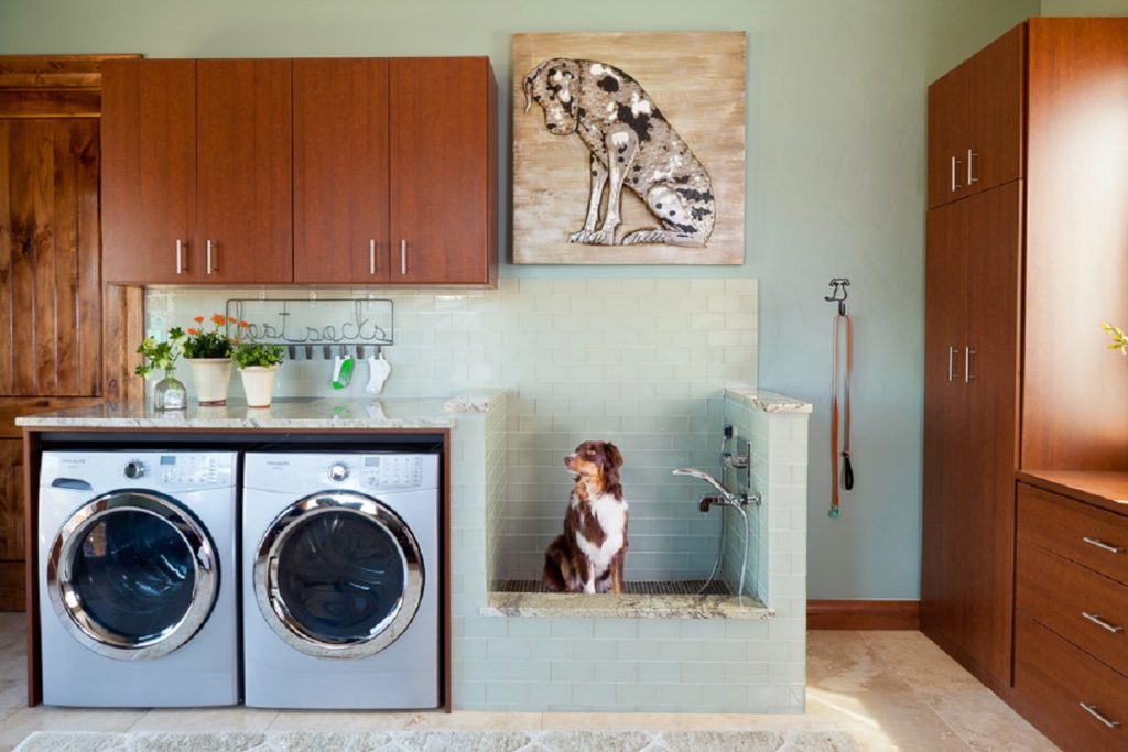 10 tendances actuelles dans les salles de lavage