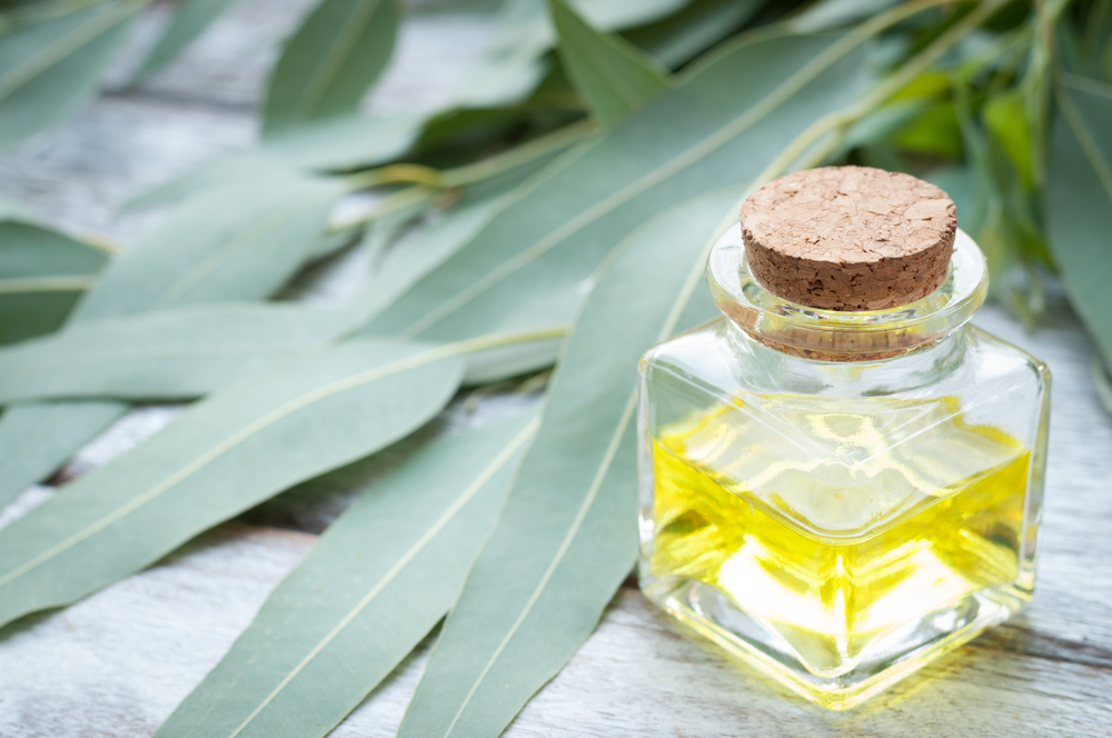 Eucalyptus essential oil