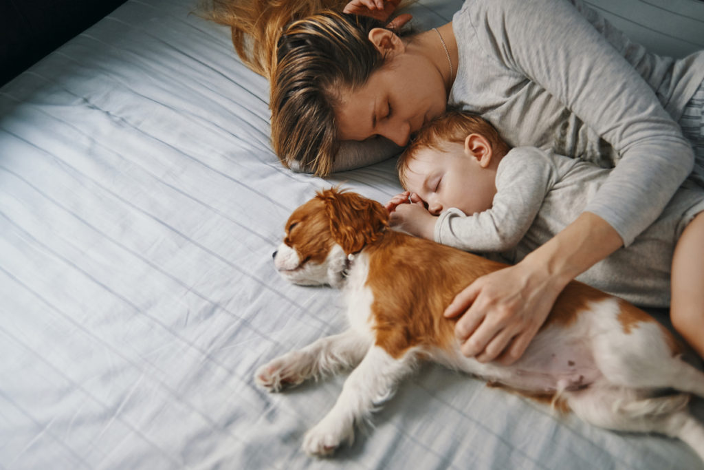 The Best Size Sealy Mattress for Every Lifestyle 