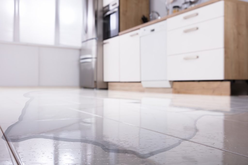 Leaking Dishwasher
