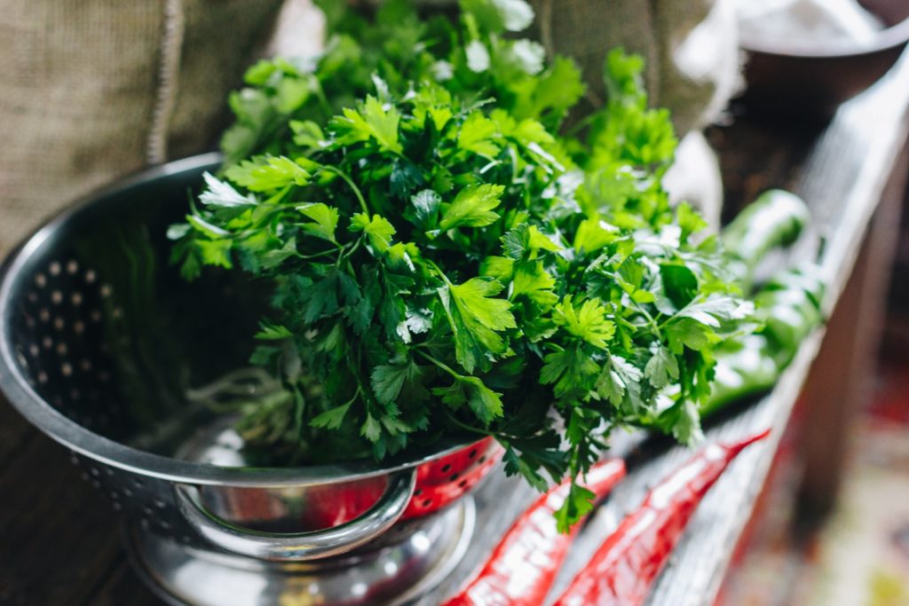 Storing fresh herbs like cilantro properly