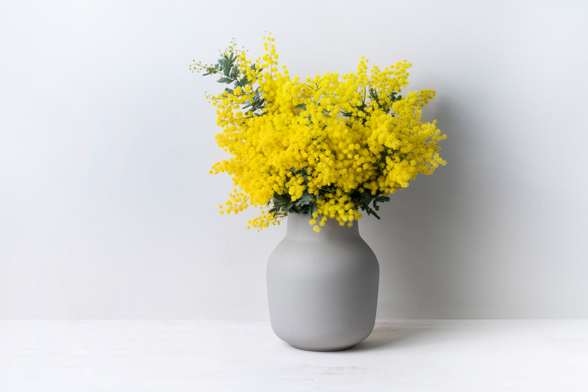 Pick a bold and bright hue