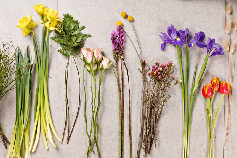 set-of-flowers