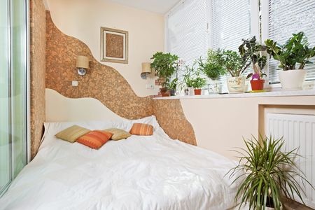 plants and flowers in bedroom