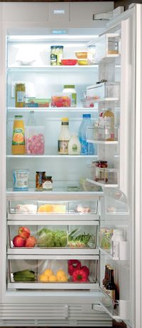 front view of an opened Sub-Zero® Designer 17.3 Cu. Ft. Panel Ready Column Refrigerator