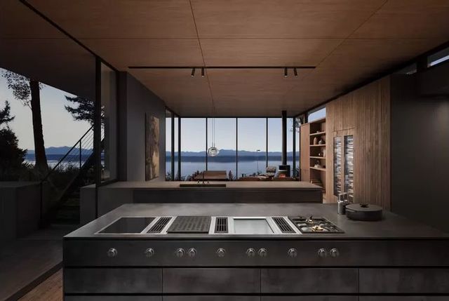 front view of a modern dark luxury kitchen with gray walls, dark wood paneling, and gaggenau appliances throughout