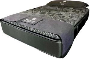 front view of the Biscayne Bedding Anna Maria Wrapped Coil Medium Pillow Top Queen Mattress with matching pillow on top
