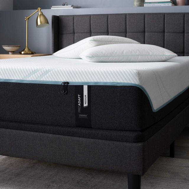 Tempur-Pedic® TEMPUR-ProAdapt™ Medium TEMPUR® Material Queen Mattress