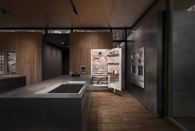 front view of a luxury industrial kitchen with an open column refrigerator 