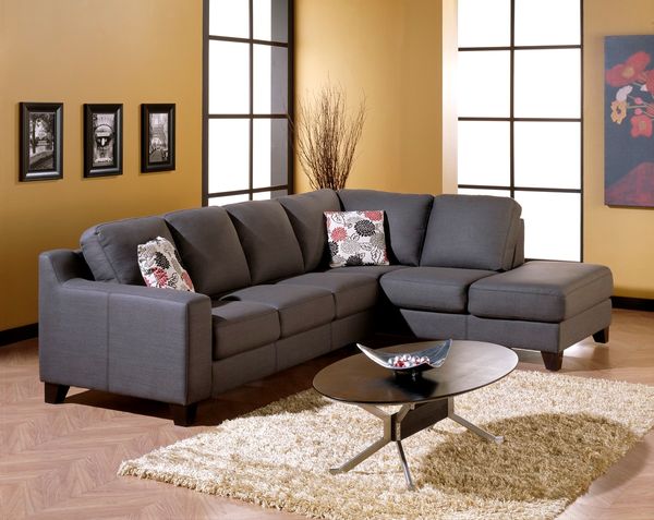 Palliser Leather Sectional in Living Room