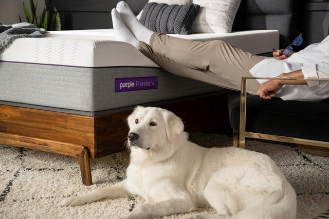 Man rests his feet a top a Purple mattress while dog sits on floor