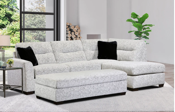 Specks 2 Piece Sectional