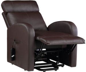ACME Furniture Ricardo Brown Power Lift Recliner