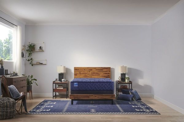 Sealy Carrington Chase Spring Travelers Rest 14.5" Innerspring Medium Tight Top Queen Mattress