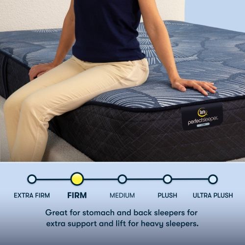 Serta Perfect Sleeper Euphoric Nights 14" Hybrid Firm Tight Top Queen Mattress