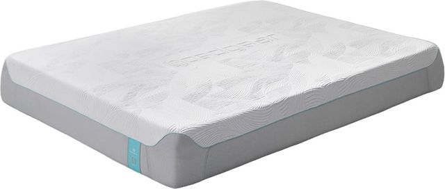 Bedgear® S3 Performance Sport Memory Foam Firm Queen Mattress in a Box 