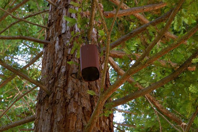 landscape speaker
